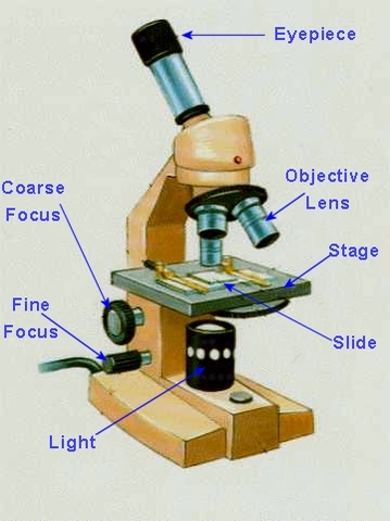 Inventors of the Microscope