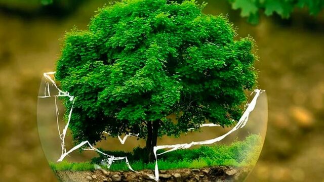 Marcha sobre el mejoramiento ambienta