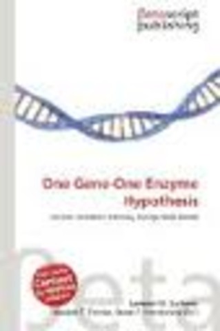One gene produces one enzyme hypothesis