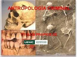 LA VICTIMA EN LA CRIMINOLOGÍA TRADICIONAL.