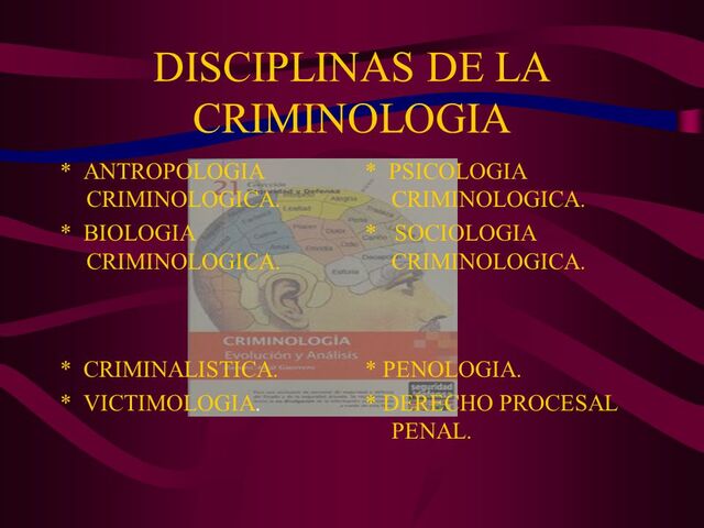 LA VICTIMA EN LA CRIMINOLOGÍA TRADICIONAL.