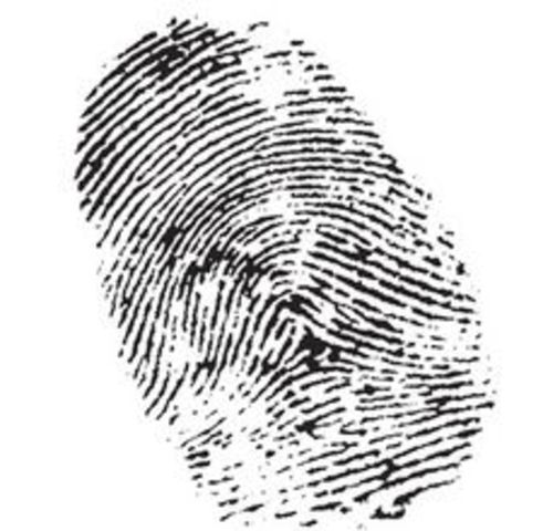 The Finger Printing Method Was Established And Adopted By Scotland Yard