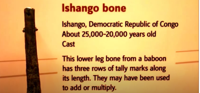 un hueso descubierto de áfrica