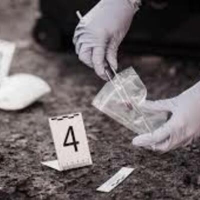 Timeline: La Criminalística