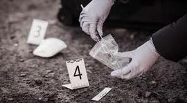 Timeline: La Criminalística