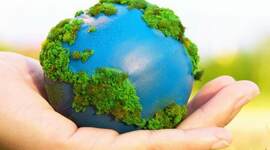 Timeline: autoridades y/u organismos públicos creados en México para la protección del medio ambiente.