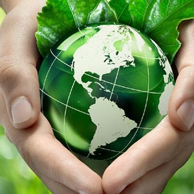 Timeline: Autoridades y organismos públicos creados en México para la protección del medio ambiente