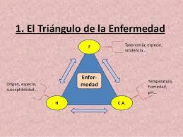 TAXONOMÍA DE LAS ENFERMEDADES
