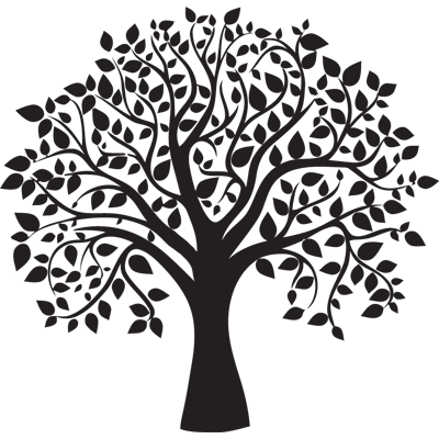 Timeline: LINEA DE LA VIDA