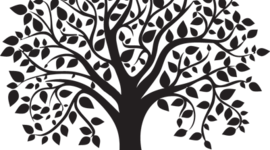 Timeline: LINEA DE LA VIDA