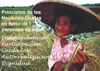 Principios de las Naciones Unidas a favor de las personas mayores