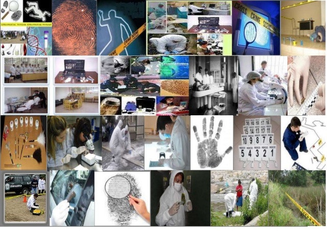 La criminalística hoy en día.