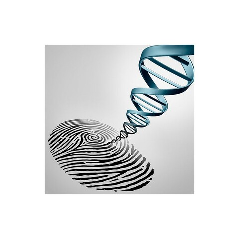 La huella genética.