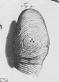 Impresiones Dactilares