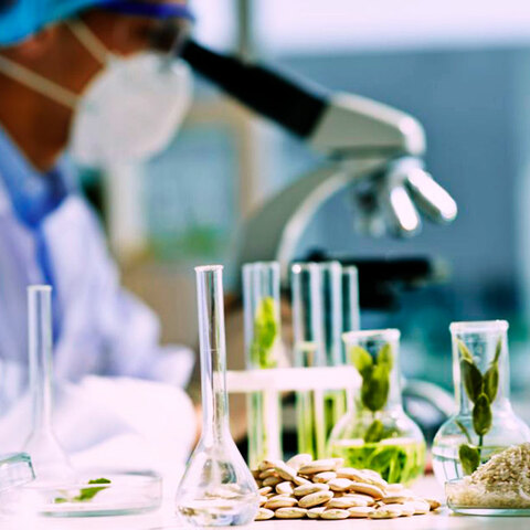 El protocolo de Nagoya