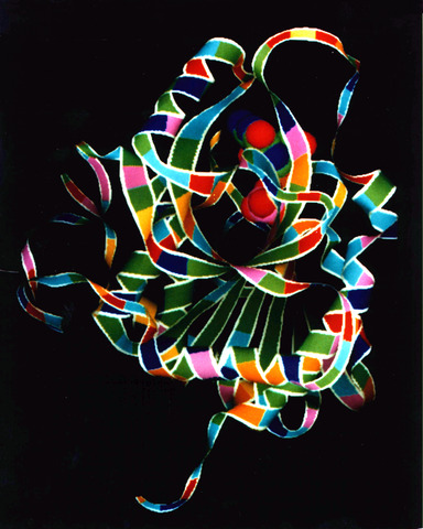 первые ферменты получены в кристаллическом состоянии