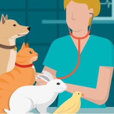 Timeline: Hechos importantes en la historia de la Veterinaria