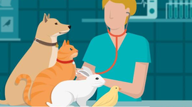 Timeline: Hechos importantes en la historia de la Veterinaria