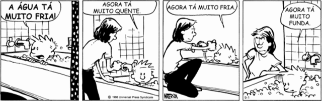 Calvin e seus amigos