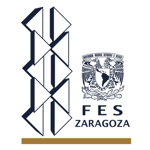 Papel de la UNAM en la formación de recursos humanos en geriatría y gerontología