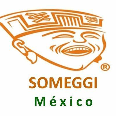 SOMEGGI (Sociedad Mexicana de Geronto-Geriatría)