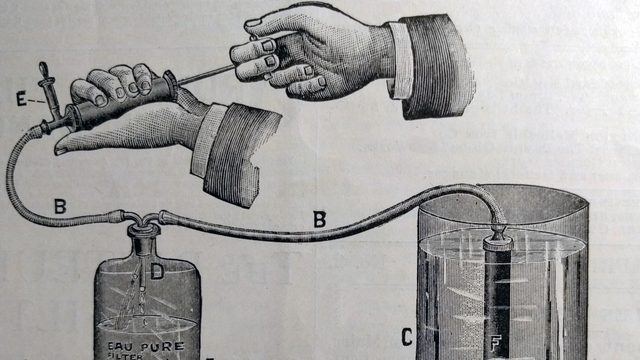 Inicio en el descubrimiento de los virus