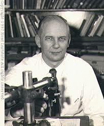 Arthur John Cronquist