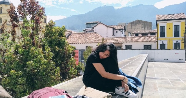 My next semesters in Law