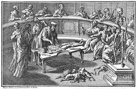 Fibras elementales de Falopio