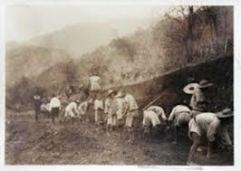Panorama económico de la Revolución Mexicana 1913 a 1916
