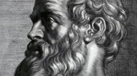 Timeline: marco historico de la psicobiologia y su evolucion