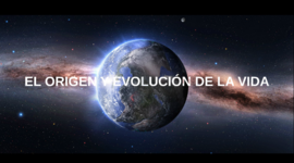 Timeline: El origen y la evolución de la vida