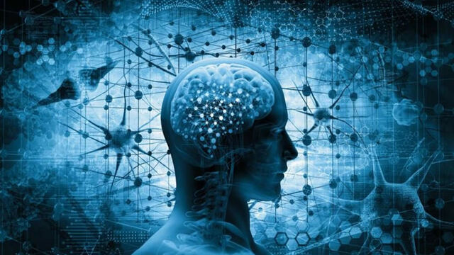 Una nueva disciplina. La Bioética