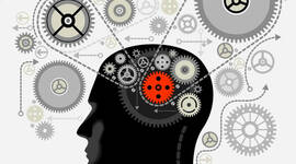 Timeline: LINEA DEL TIEMPO TEORIA GENERAL DE SISTEMAS