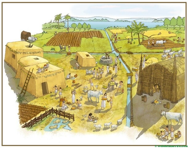 Com vivien?Edat dels metalls