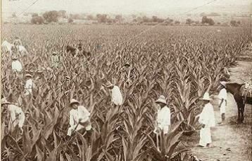 De la insurrección de 1810 a la Revolución de 1910