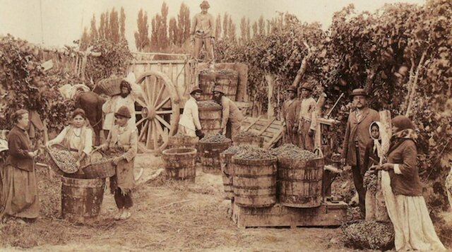 La Revolución Mexicana (Agricultura)