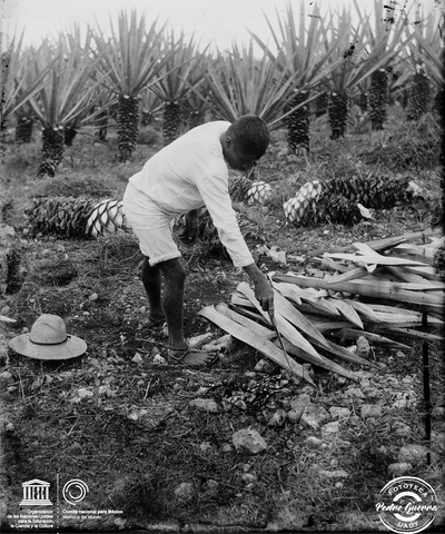 Panorama económico de la Revolución Mexicana