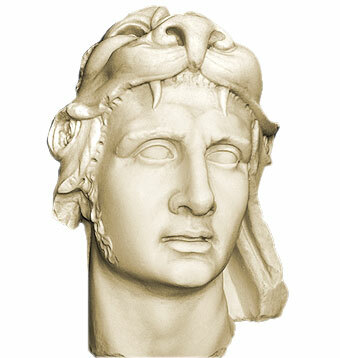 Toxicología en animales