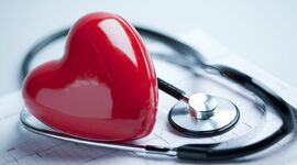 Timeline: Aspectos éticos de la investigación en seres humanos