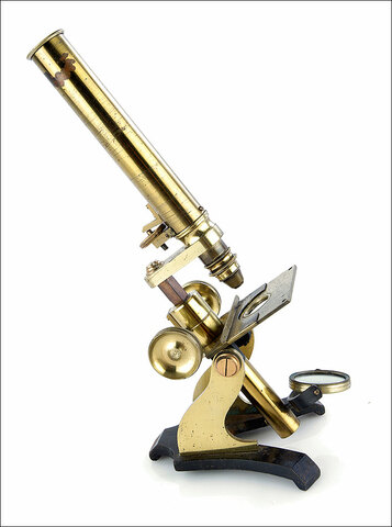 El Microscopio Compuesto
