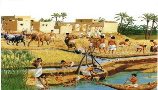 La agricultura y el arado