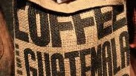 Timeline: Biography of Efrain Recinos