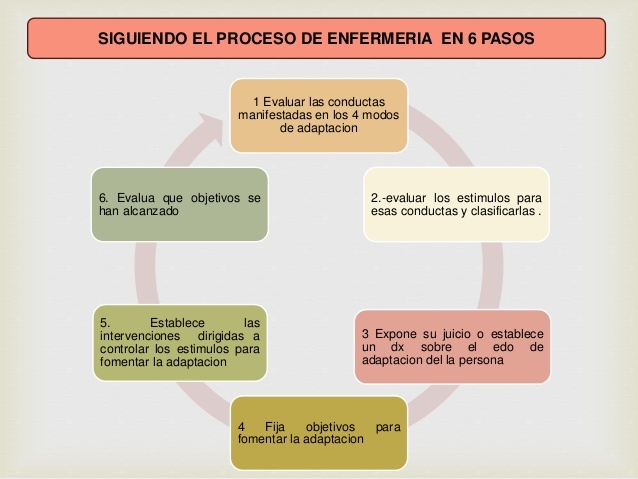 se establecen 6 pasos en el proceso de enfermería