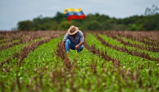 Venezuela agraria