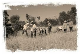 Transformaciones y pervivencia de elementos tradicionales