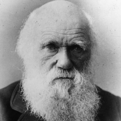 Timeline: Charles Darwin 12FEB1809-19APR1882