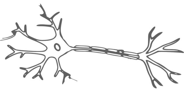 Descoberta da Neurologia