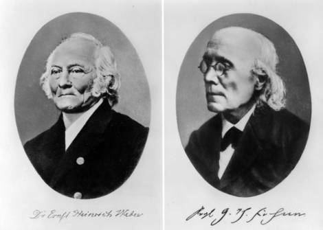 Lei de Fechner-Weber.