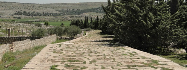 515 BCE Royal Road